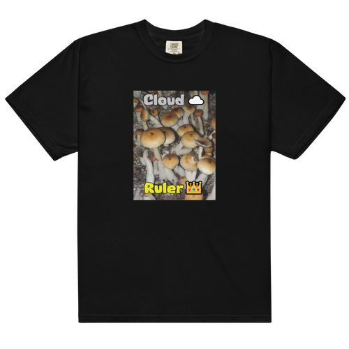 Cloud x Crown Tee